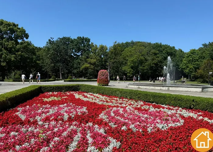 Stella Baltic - Visitopl *