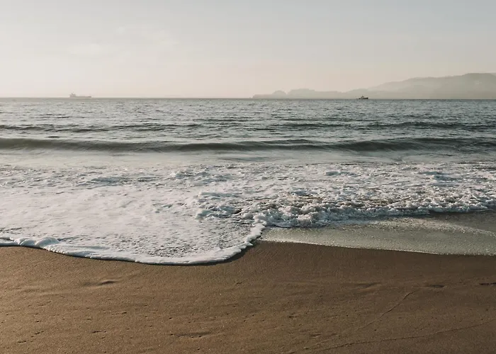 Stella Baltic - Visitopl *